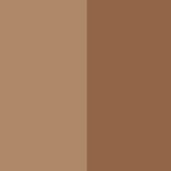 Bronzing Duo SPF 15