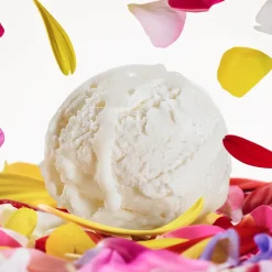 Dolce Magnolia