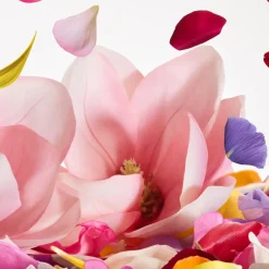 Dolce Magnolia