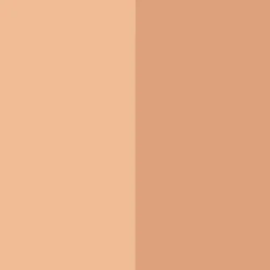 Ever Bronze Compact Powder