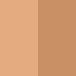 Ever Bronze Compact Powder