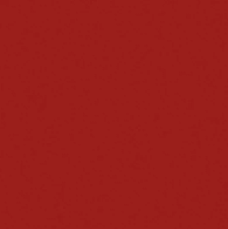Forever Matte Lipstick - Rossetto Mat