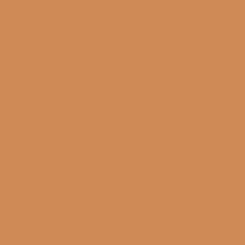 Foundations Bronzing Powder