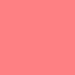 L'Absolu Rouge Mat
