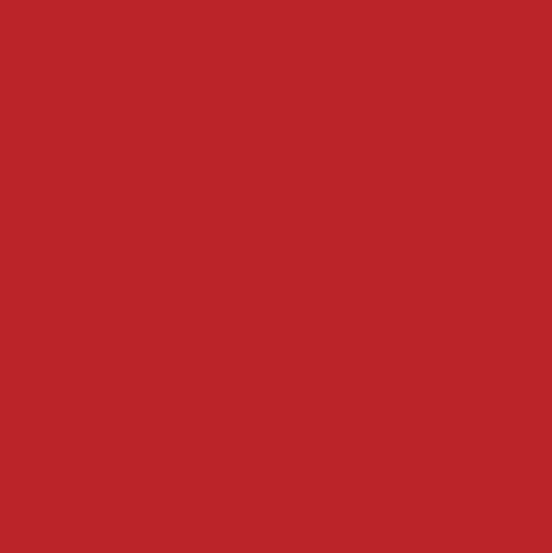 L'Absolu Rouge Mat