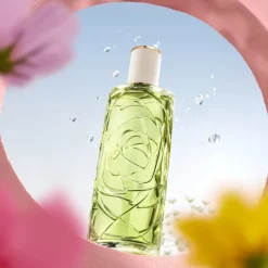 Lancome Ôff Now
