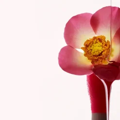 Lip Comfort Oil N. 28 ROSY GRACE