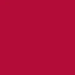 Makeupstudio Ink Lip Stain - Tinta Per Labbra