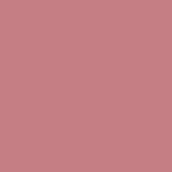 Pure Color Envy Gloss & Lacquer