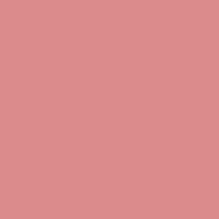 Pure Color Envy Gloss & Lacquer