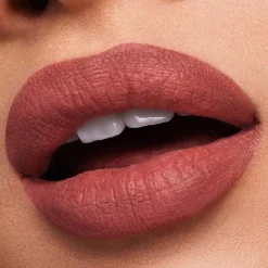 Pure Color Lipstick