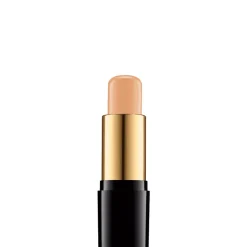 Teint Idole Ultra Wear Stick