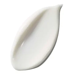 The Intensive Revitalizing Mask 75 ML